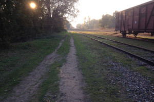 De ‘algemene beschouwingen’ van Sikko Oegema